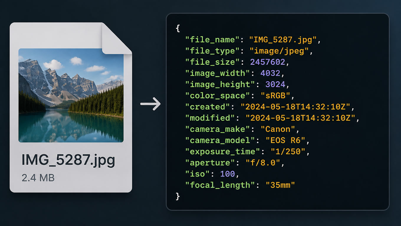 File Metadata Extractor